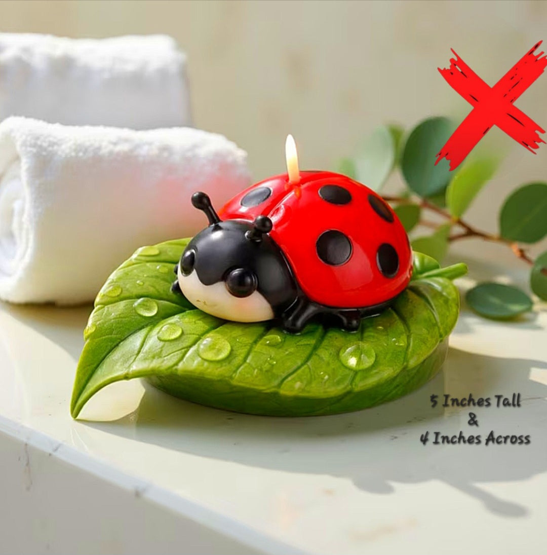 Bad Luck Shifter & Cleansing - Intensified Ritual Activated & Blessed Lady Bug Candle