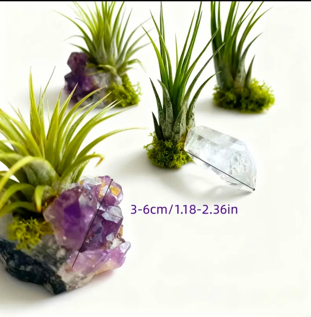 Amethyst Plant Protection Familiar - Ritual Activated & Blessed
