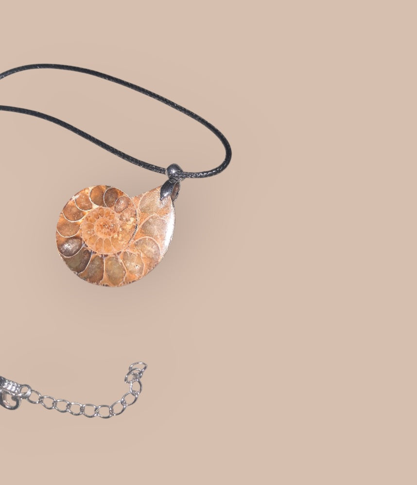 Lifes Beauty Bearer - Ammonite Ritual Necklace