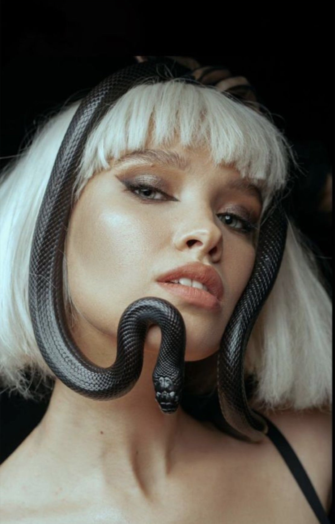 Show Me The Snakes In My Energy & Life Ritual