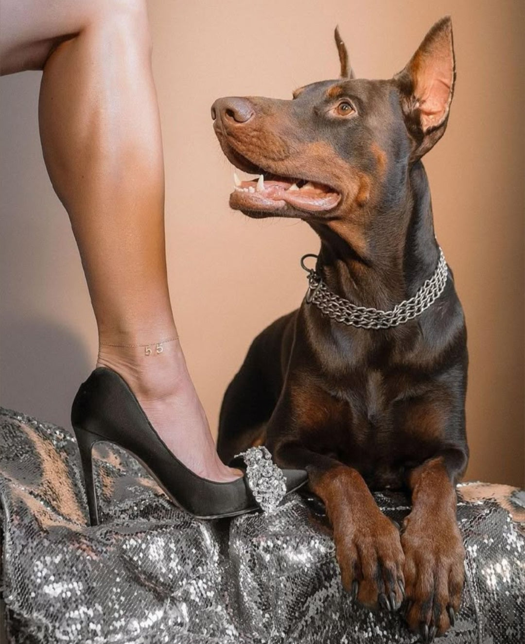 Bring & Summon A Lost / Runaway Pet Home - Ritual