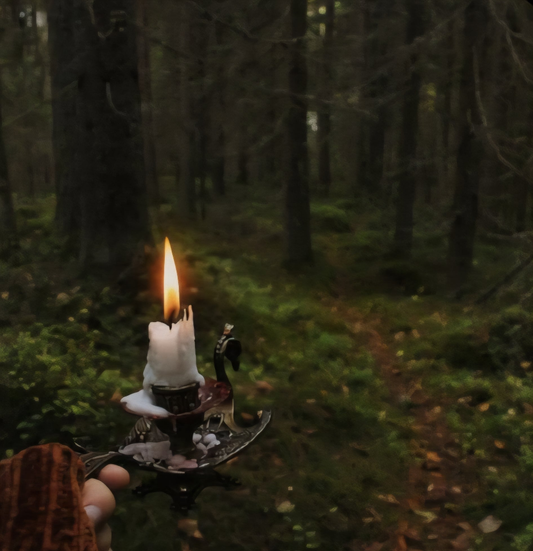 Show Confusion / Hide Your Energy - Unauthorized Readings Ritual