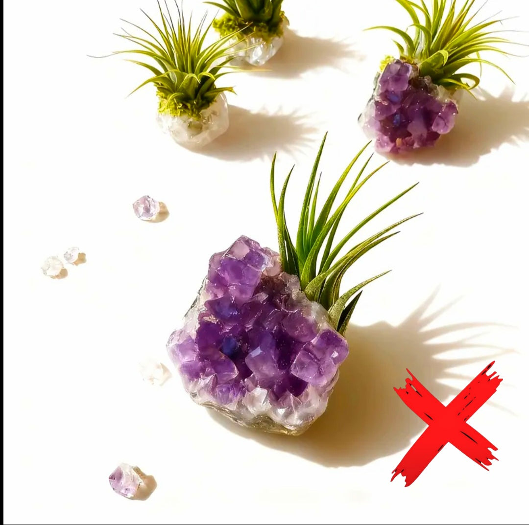 Amethyst Plant Protection Familiar - Ritual Activated & Blessed