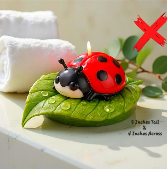 Bad Luck Shifter & Cleansing - Intensified Ritual Activated & Blessed Lady Bug Candle
