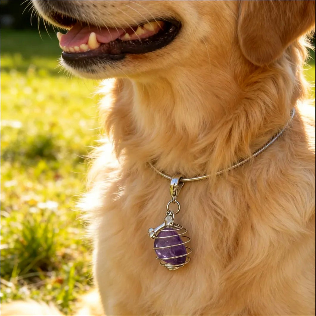 Amethyst Charmed - Energy Transmuter / Healing Protection From All Absorbing - Ritual Activated & Blessed Crystal Attachment For Familiar / Animal Collars