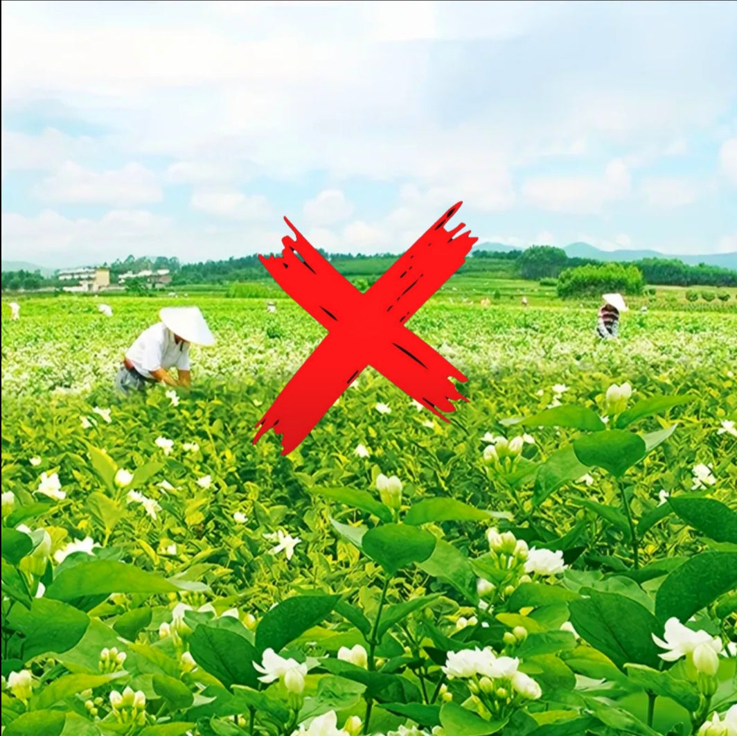 Foxys Magical Blooming Flower Tea - Ritual Tea Of Growth & Rapid Fertility & Manifestations - Activated & Blessed - 9 Pack