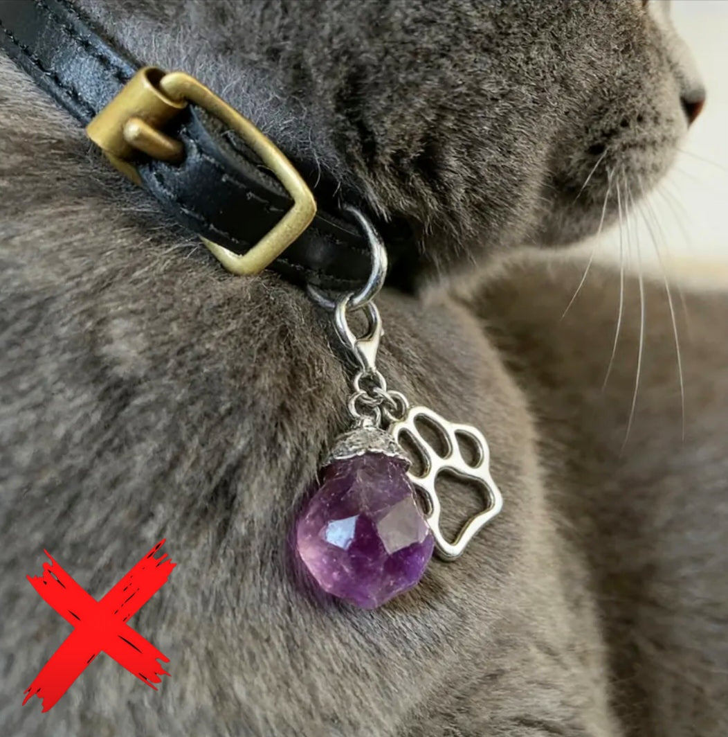 Amethyst Charmed - Energy Transmuter / Healing Protection From All Absorbing - Ritual Activated & Blessed Crystal Attachment For Familiar / Animal Collars