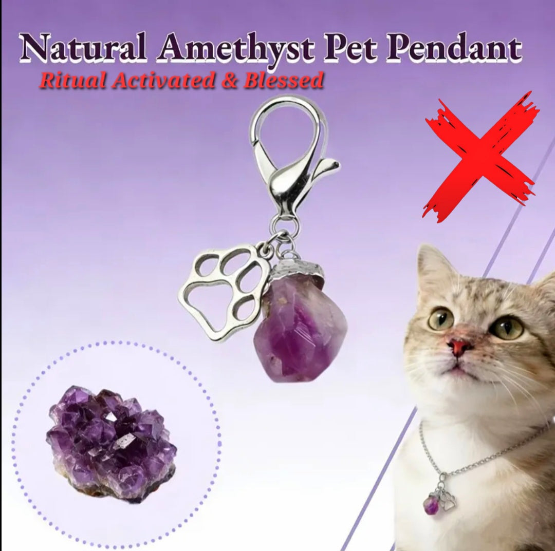Amethyst Charmed - Energy Transmuter / Healing Protection From All Absorbing - Ritual Activated & Blessed Crystal Attachment For Familiar / Animal Collars