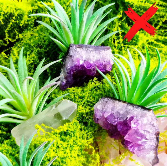 Clear Quartz Plant Protection Familiar - Ritual Activated & Blessed