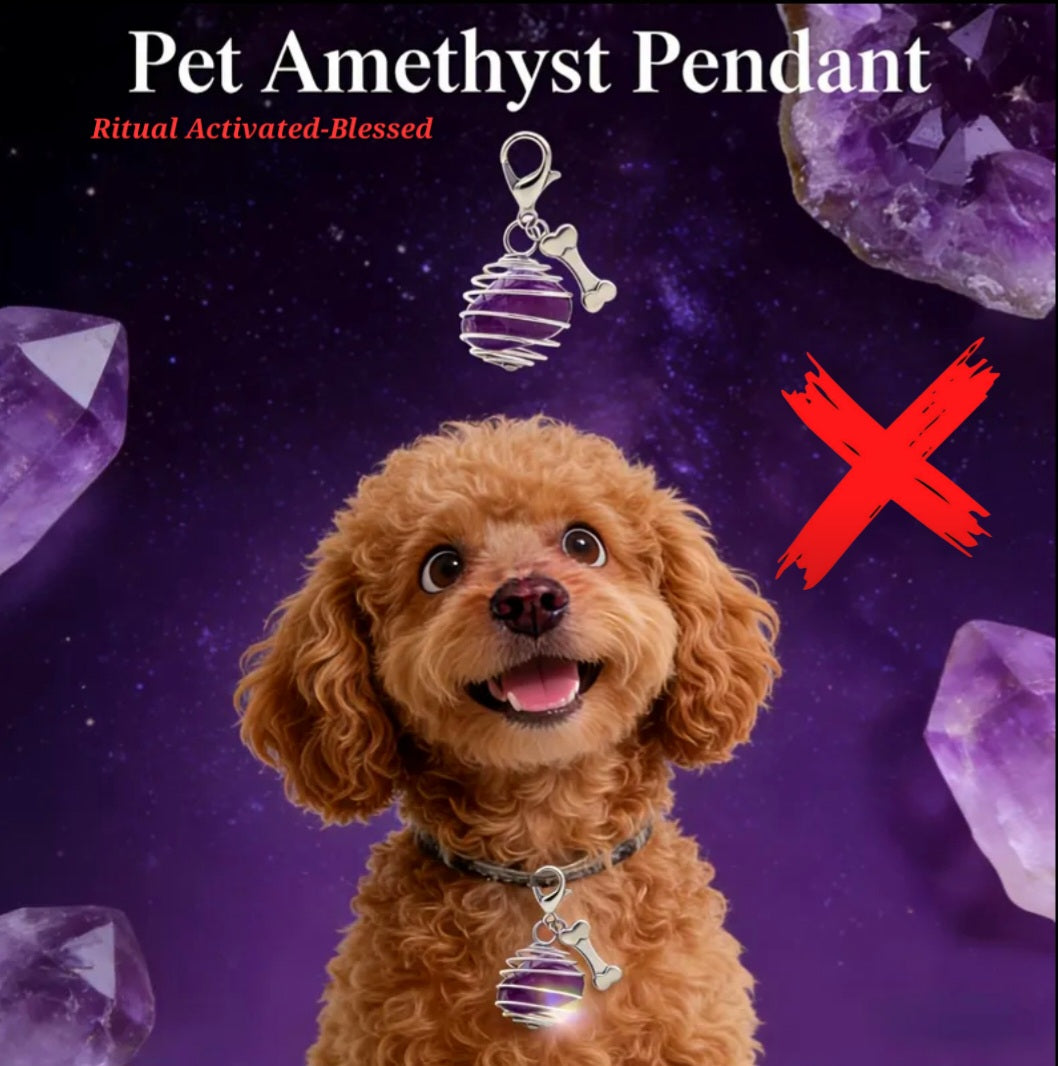 Amethyst Charmed - Energy Transmuter / Healing Protection From All Absorbing - Ritual Activated & Blessed Crystal Attachment For Familiar / Animal Collars