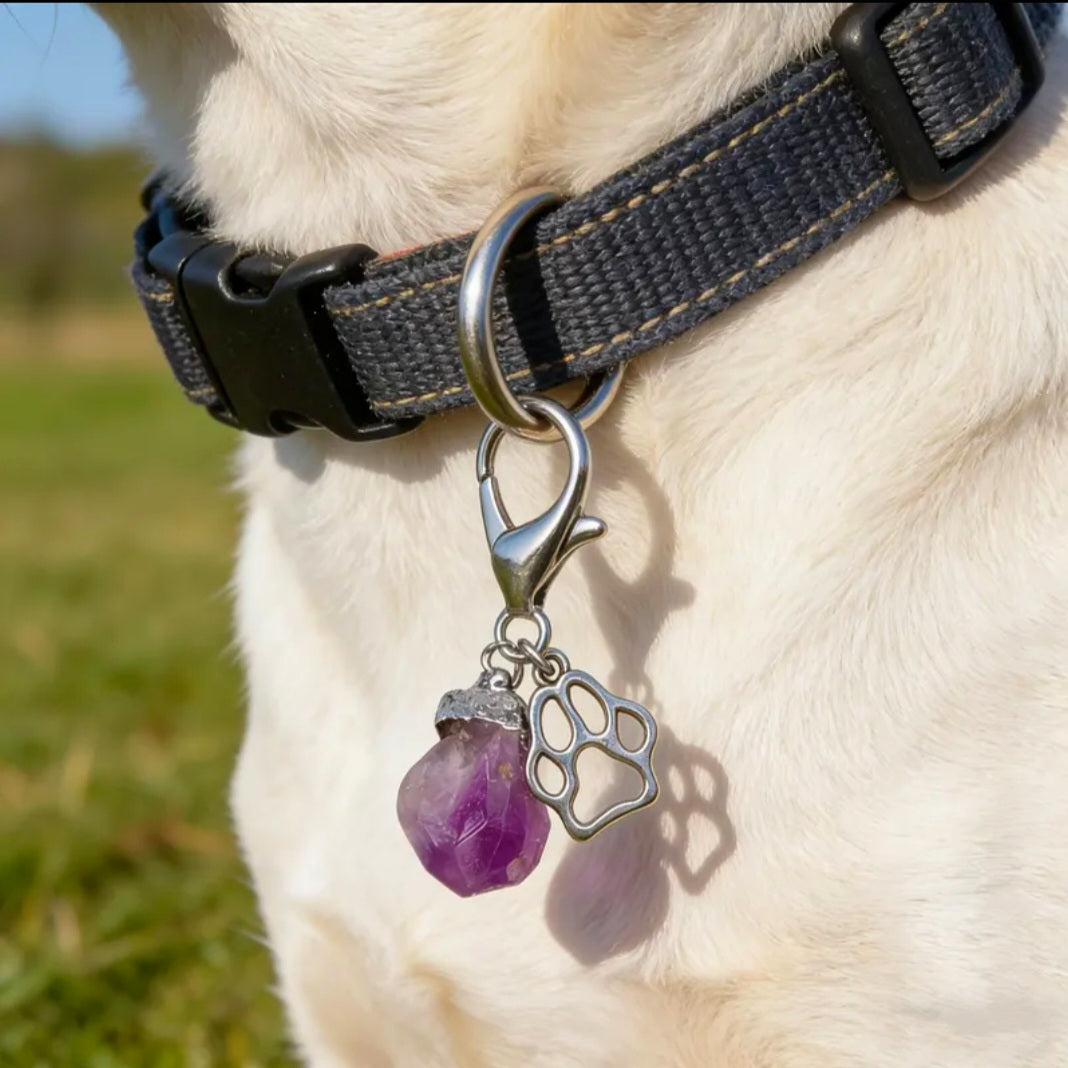 Amethyst Charmed - Energy Transmuter / Healing Protection From All Absorbing - Ritual Activated & Blessed Crystal Attachment For Familiar / Animal Collars