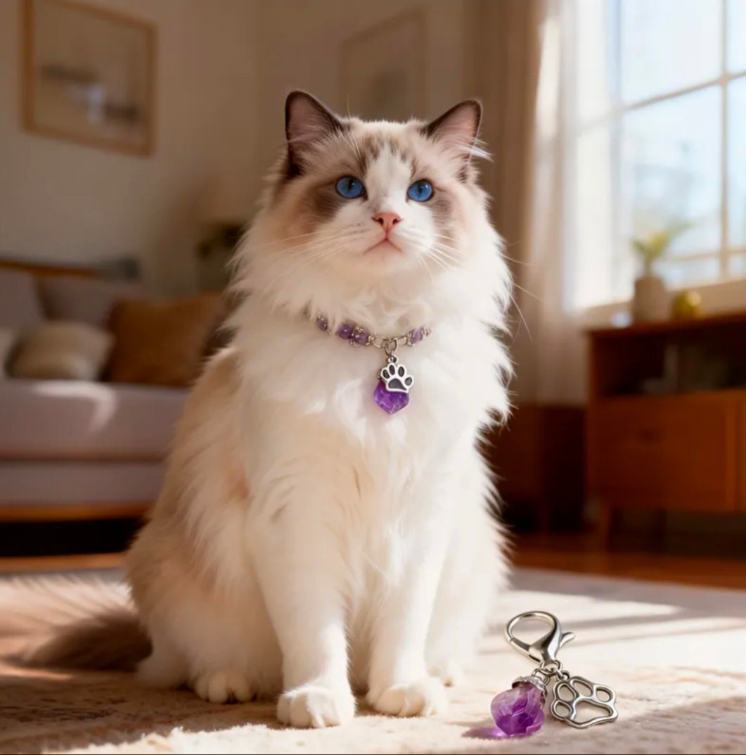Amethyst Charmed - Energy Transmuter / Healing Protection From All Absorbing - Ritual Activated & Blessed Crystal Attachment For Familiar / Animal Collars