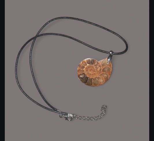 Lifes Beauty Bearer - Ammonite Ritual Necklace