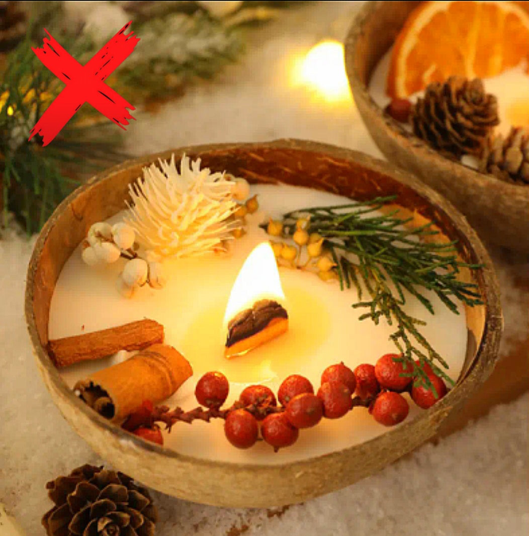 Abundant Energy Is Attracted To Me & Loves Me- Coconut Holder - Pine White & Green - Vanilla Cinnamon & Red Dried Berries - Ritual Candle Activated & Blessed