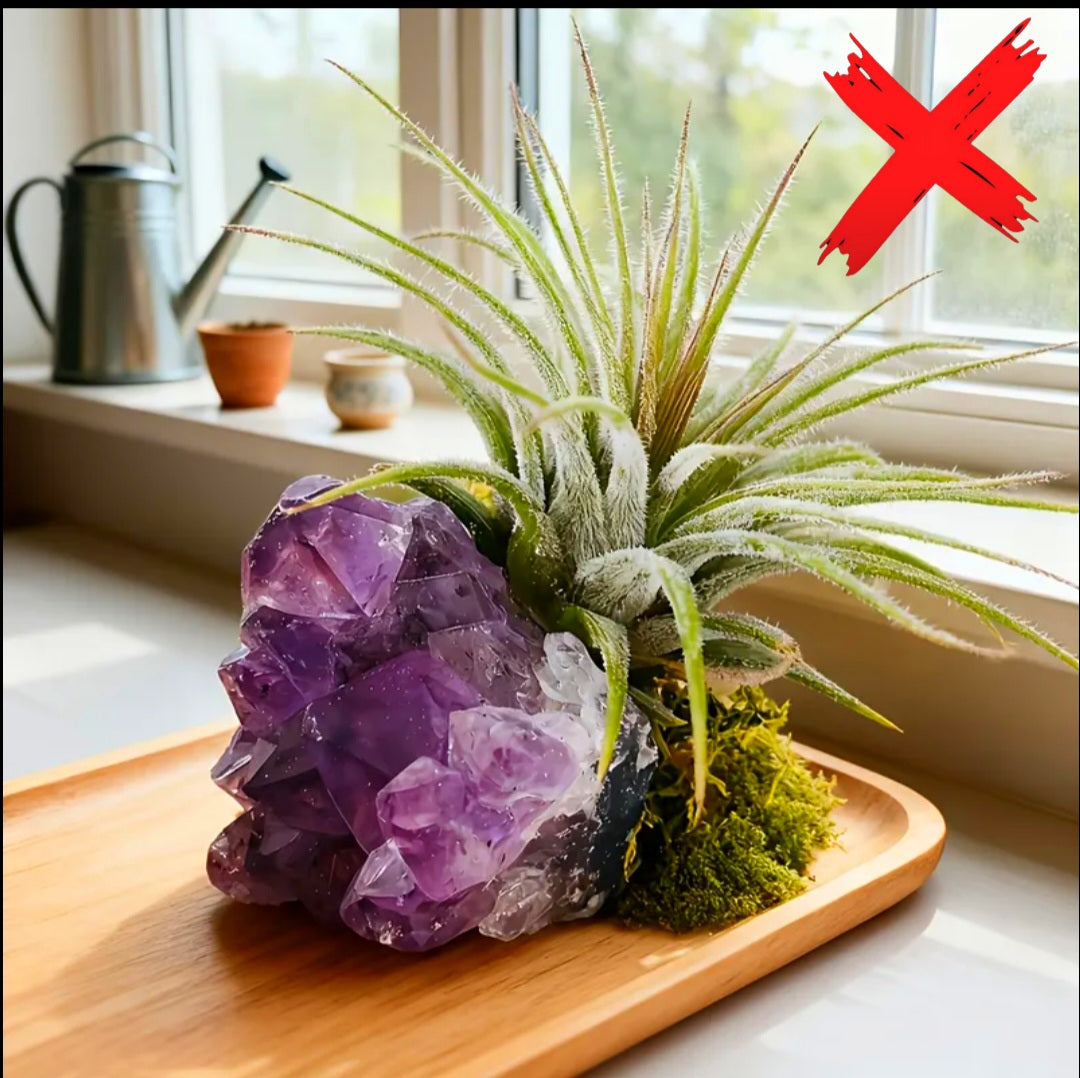 Amethyst Plant Protection Familiar - Ritual Activated & Blessed