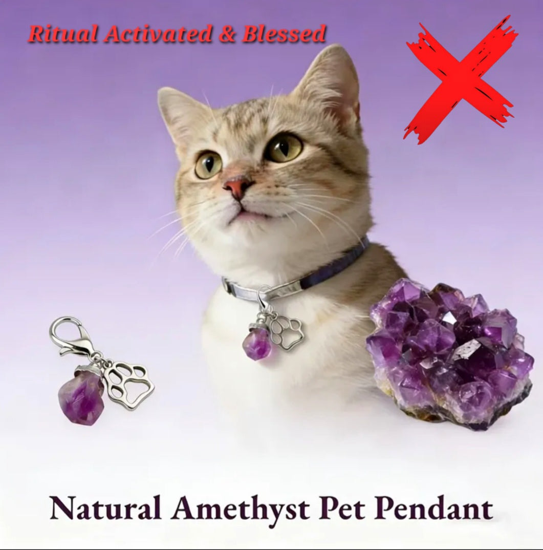 Amethyst Charmed - Energy Transmuter / Healing Protection From All Absorbing - Ritual Activated & Blessed Crystal Attachment For Familiar / Animal Collars